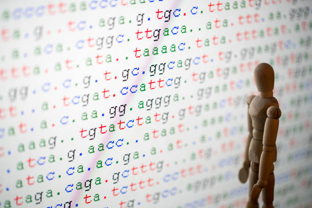 Деревянная фигура стоит перед экраном, отображающим красочную генетическую последовательность.
